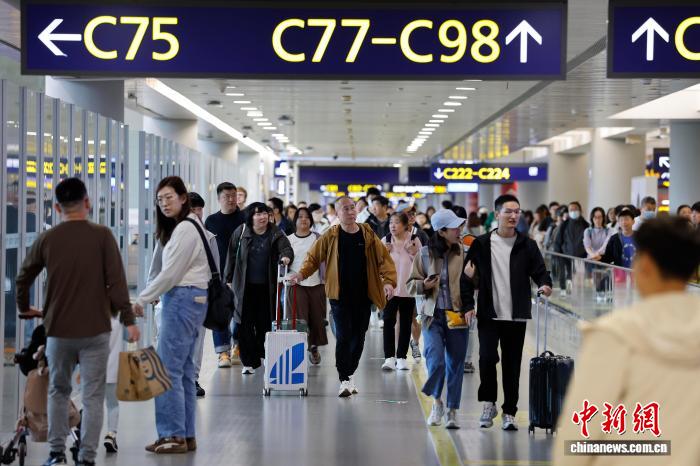 游戏策略与技巧分享 - 赏金女王